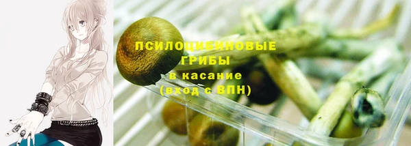 бошки Алексин