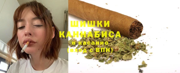 бошки Алексин