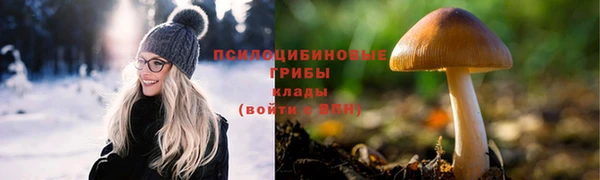 соль ск Алексеевка