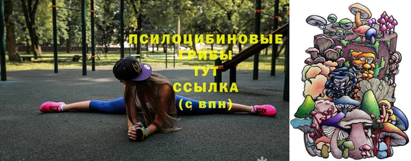 соль ск Алексеевка