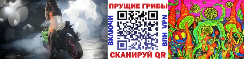 гидра tor  Глазов  Псилоцибиновые грибы GOLDEN TEACHER 