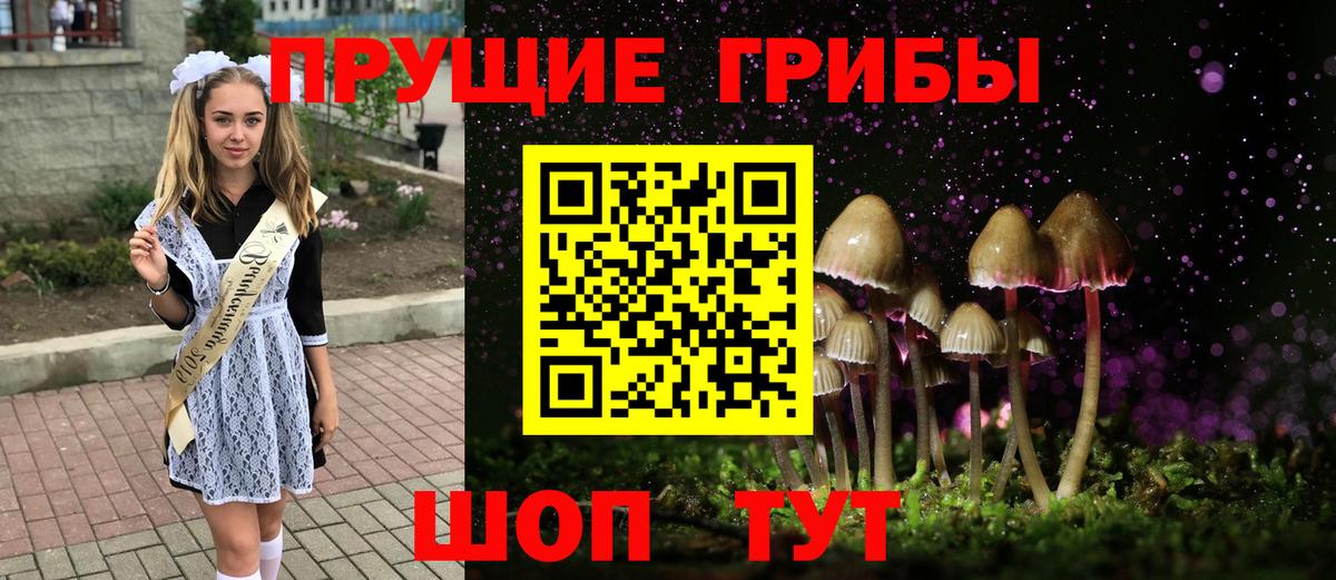 Псилоцибиновые грибы Psilocybe Глазов