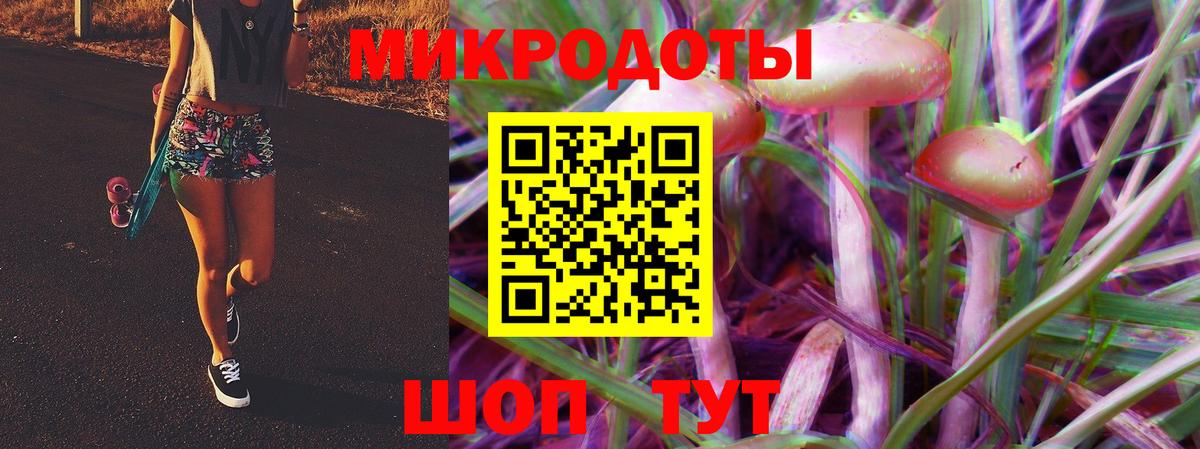 Псилоцибиновые грибы Psilocybe  где найти   Глазов  Вход с VPN 